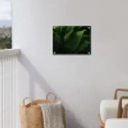 Bladeren - Schaduw - Groen - Textuur tuinposter los doek klein -sfeer8
