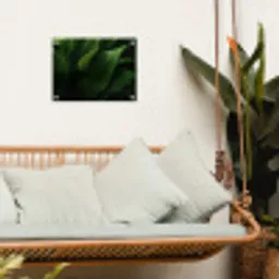 Bladeren - Schaduw - Groen - Textuur tuinposter los doek klein -sfeer7