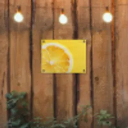 Citroen - Geel - Zonnig tuinposter los doek klein -sfeer1