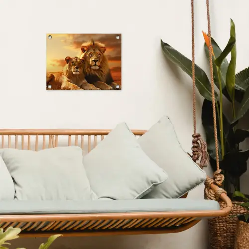 Leeuwenpaar bij zonsondergang tuinposter los doek klein -sfeer7