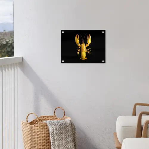 Kreeft - Geel - Stippen - Effen tuinposter los doek klein -sfeer8