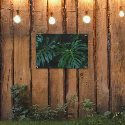 Monstera - Jungle - Bladeren tuinposter los doek klein -sfeer1