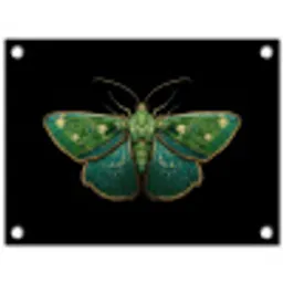 Mot - Levendig - Groen tuinposter los doek klein -3d