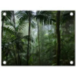 Mysterieuze Tropische Woud tuinposter los doek klein -3d