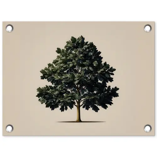 Eikenboom - Schaduw - Egaal tuinposter los doek klein -3d