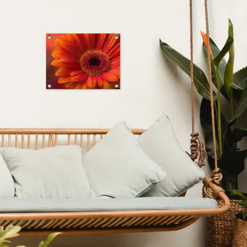 Oranje - Gerbera - Intens tuinposter los doek klein -sfeer7