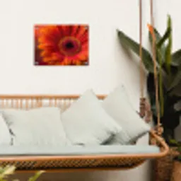 Oranje - Gerbera - Intens tuinposter los doek klein -sfeer7