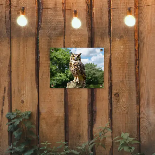 Uil - Boomstronk - Bos - Lucht tuinposter los doek klein -sfeer1