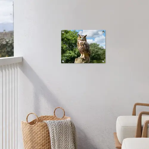 Uil - Boomstronk - Bos - Lucht tuinposter los doek klein -sfeer8