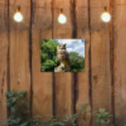 Uil - Boomstronk - Bos - Lucht tuinposter los doek klein -sfeer1