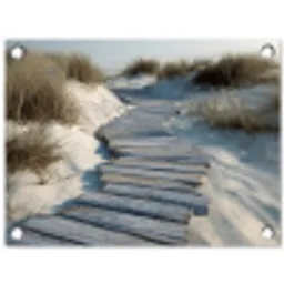 Pad - Planken - Duinen - Gras tuinposter los doek klein -3d