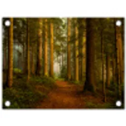 Pad door majestueus dennenbos tuinposter los doek klein -3d
