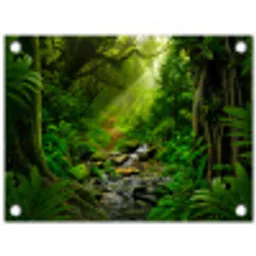 Pad door het Regenwoud tuinposter los doek klein -3d