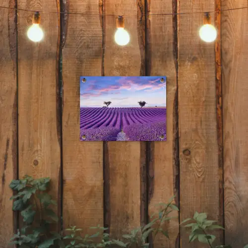 Perfecte lavendelrijen bij zonsopgang tuinposter los doek klein -sfeer1