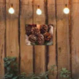 Dennenappels - Boom - Winter - Natuur - Bruin tuinposter los doek klein -sfeer1