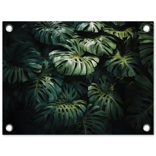 Plant - Monstera - Lichtinval tuinposter los doek klein -3d