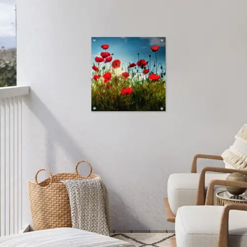 Klaprozen in tegenlicht tuinposter los doek klein -sfeer8