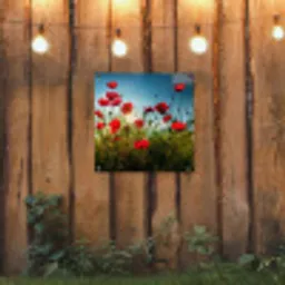 Klaprozen in tegenlicht tuinposter los doek klein -sfeer1