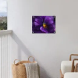 Paars - Viool - Diepte tuinposter los doek klein -sfeer8