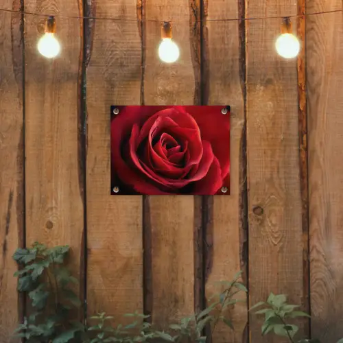 Rood - Roos - Romantisch tuinposter los doek klein -sfeer1