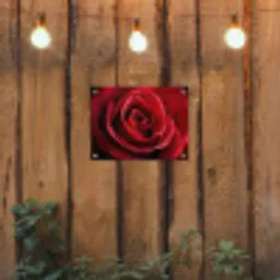 Rood - Roos - Romantisch tuinposter los doek klein -sfeer1