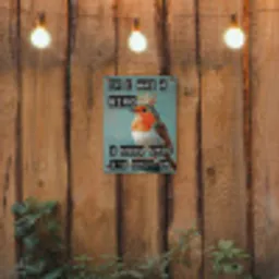 Roodborstje - Vogel - Blauw - Decoratie tuinposter los doek klein -sfeer1