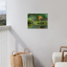 Roodborstje bij het Water tuinposter los doek klein -sfeer8
