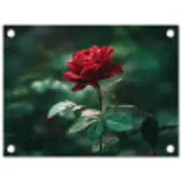 Roos - Bladeren - Dieprood tuinposter los doek klein -3d
