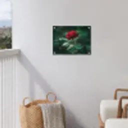 Roos - Bladeren - Dieprood tuinposter los doek klein -sfeer8