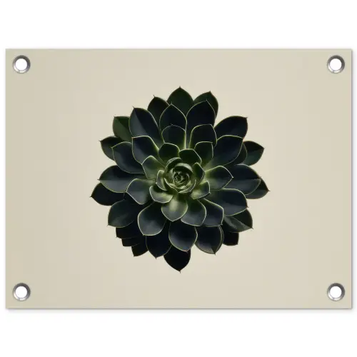 Rozet - Cirkelvormig - Donkergroen tuinposter los doek klein -3d