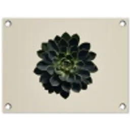 Rozet - Cirkelvormig - Donkergroen tuinposter los doek klein -3d