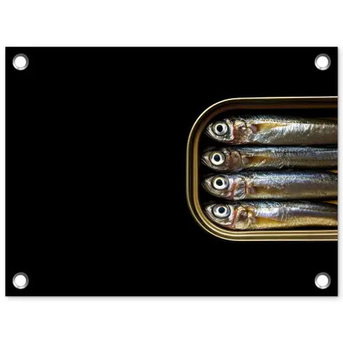 Sardines - Blik - Zwart - Vissen tuinposter los doek klein -3d