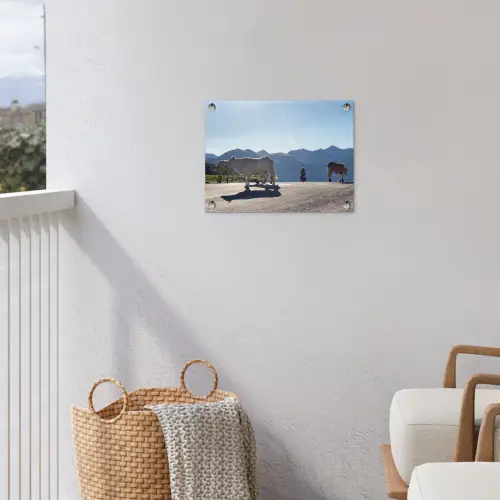 Schotse hooglander - Licht - Berg - Natuur tuinposter los doek klein -sfeer8
