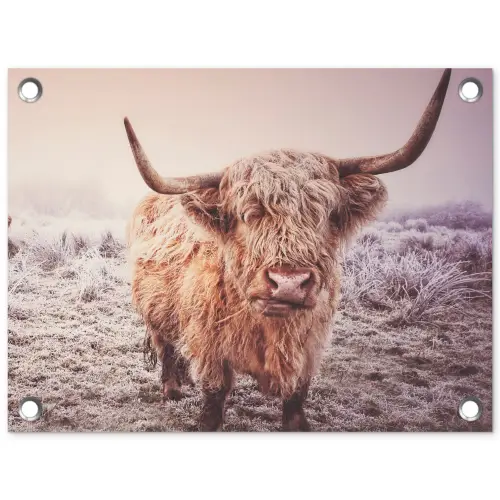 Schotse hooglanders - Licht - Lucht - Natuur tuinposter los doek klein -3d