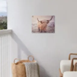 Schotse hooglanders - Licht - Lucht - Natuur tuinposter los doek klein -sfeer8