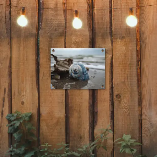Schelp - Strand - Blauw - Zee tuinposter los doek klein -sfeer1