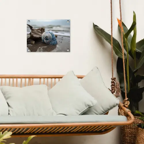 Schelp - Strand - Blauw - Zee tuinposter los doek klein -sfeer7