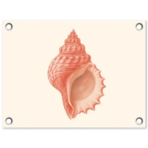 Schelp - Roze - Structuur tuinposter los doek klein -3d