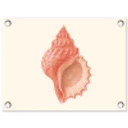 Schelp - Roze - Structuur tuinposter los doek klein -3d