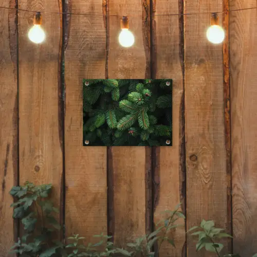 Sparrentakken - Knoppen - Naalden - Groen tuinposter los doek klein -sfeer1