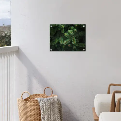 Sparrentakken - Knoppen - Naalden - Groen tuinposter los doek klein -sfeer8