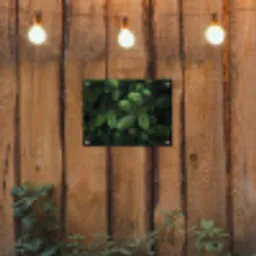 Sparrentakken - Knoppen - Naalden - Groen tuinposter los doek klein -sfeer1