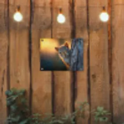 Eekhoorn - Boomstam - Zonsondergang tuinposter los doek klein -sfeer1