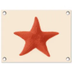 Zeester - Bobbels - Rood tuinposter los doek klein -3d