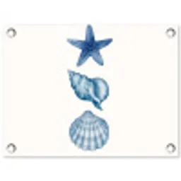 Zeester - Schelpen - Blauw tuinposter los doek klein -3d