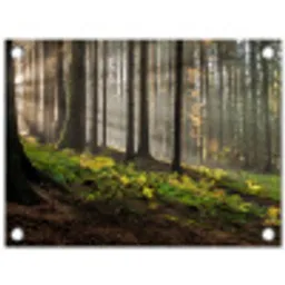 Zon - Takken - Bomen - Bos - Natuur tuinposter los doek klein -3d