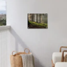 Zon - Takken - Bomen - Bos - Natuur tuinposter los doek klein -sfeer8