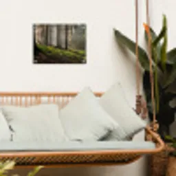 Zon - Takken - Bomen - Bos - Natuur tuinposter los doek klein -sfeer7
