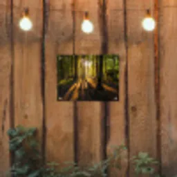 Zon - Bomen - Bos - Landschap - Natuur tuinposter los doek klein -sfeer1