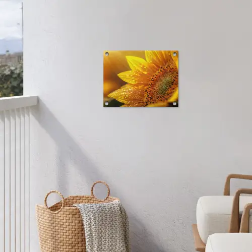 Zonnebloem - Dauwdruppels - Geel - Zonlicht tuinposter los doek klein -sfeer8